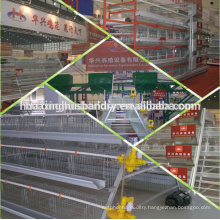 egg layer chicken poultry farm design layout for chicken cage